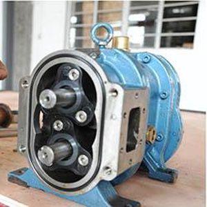 Why rotory lobe pumps are popular?